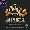 thumbnail image 2 of Purina Pro Plan Complete Essentials Large Breed Adult 7 Plus Shredded Blend Chicken & Rice Formula Senior Dry Dog Food 34 lbs., 2 of 2