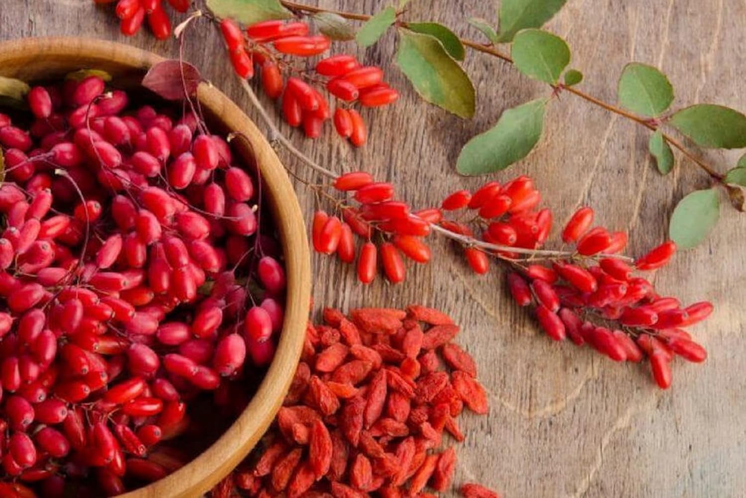 PURE ORIGINAL INGREDIENTS Berberine 365 Capsules No Magnesium Or Rice Fillers, Always Pure, Lab Verified
