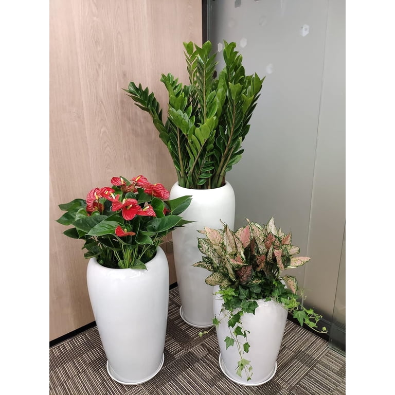 White Plant Saucer 14 Inches, 6 Packs Durable Plastic Plant Trays, Flower Pot Saucers,Round Plastic Plant Pot Saucer for Indoor Outdoor Plants(14 Inch