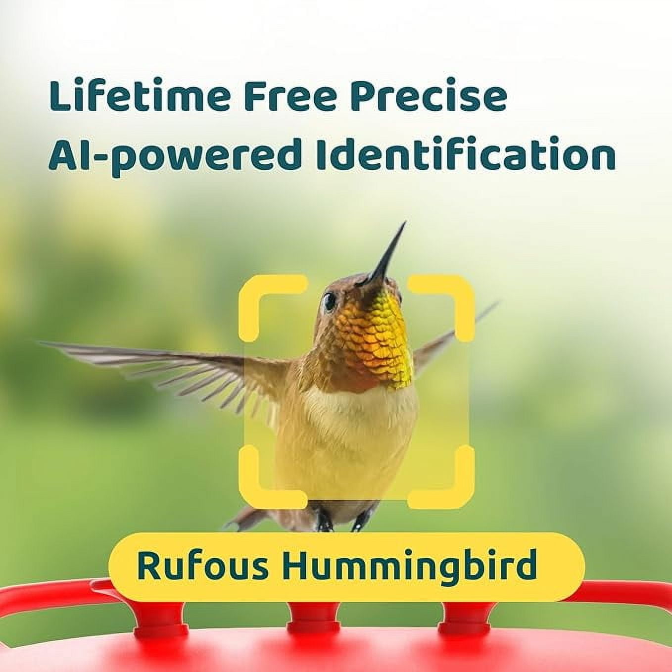Netvue Birdfy® Hummingbird Feeder with Camera, 2K - Dual Camera Hummingbird Feeder, Lifetime Free AI Identify HummingBird, Solar Panel, Ant Moat