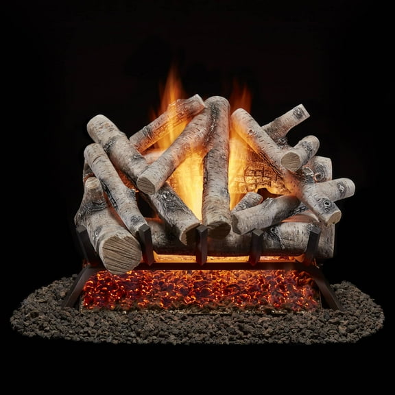 Bluegrass Living Vented Natural Gas Fireplace Log Set With Remote Control Kit - 24 in. Birch Wood, 55,000 BTU - Model# BVL24-2-RO