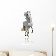 White Horse Wall Decal by Wallmonkeys Peel and Stick Graphic (18 in H x 12 in W) WM326142