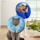 thumbnail image 3 of El comportamiento tranquilo de las patas apoya el collar inflable protector de mascotas, 3 of 5