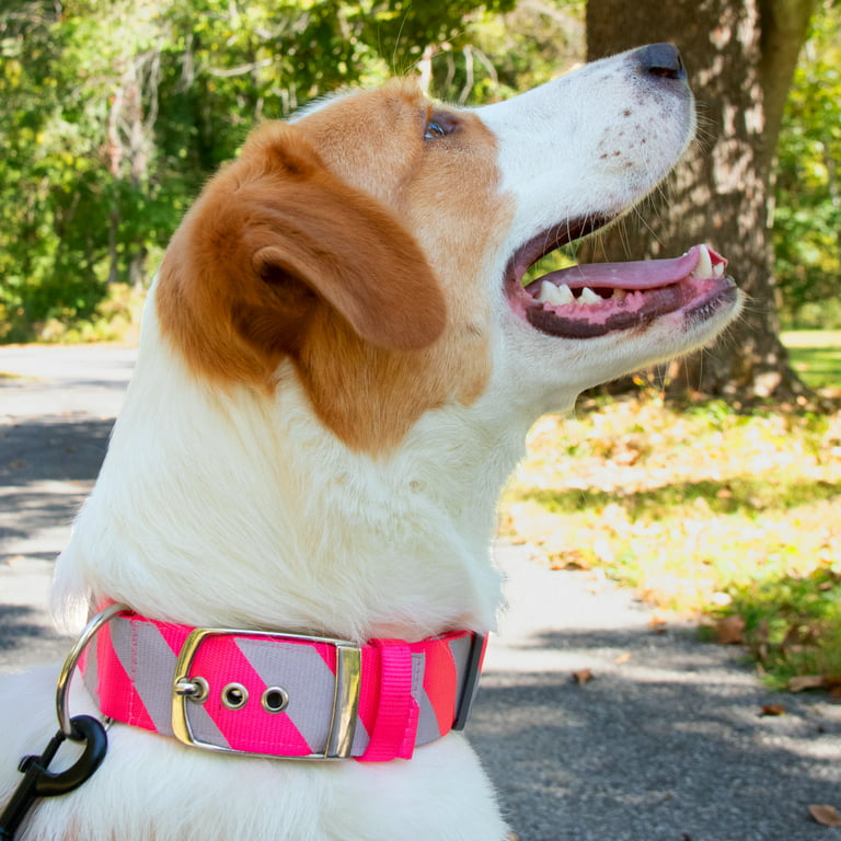 Vibrant Life Diagonal Stripe Extra Wide Adjustable Reflective Collar for  Dogs, Pink & Gray, Large 
