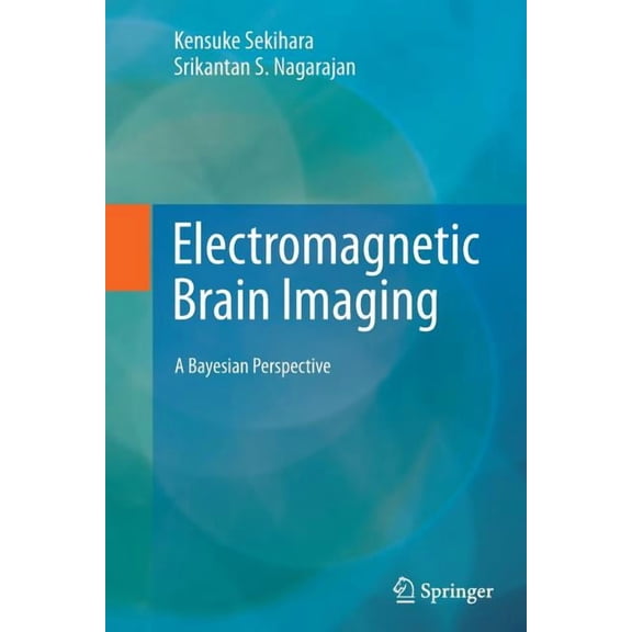 Electromagnetic Brain Imaging: A Bayesian Perspective, (Paperback)