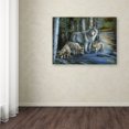 thumbnail image 3 of Trademark Fine Art 'Gentle Morning' Canvas Art by Jenny Newland, 3 of 3