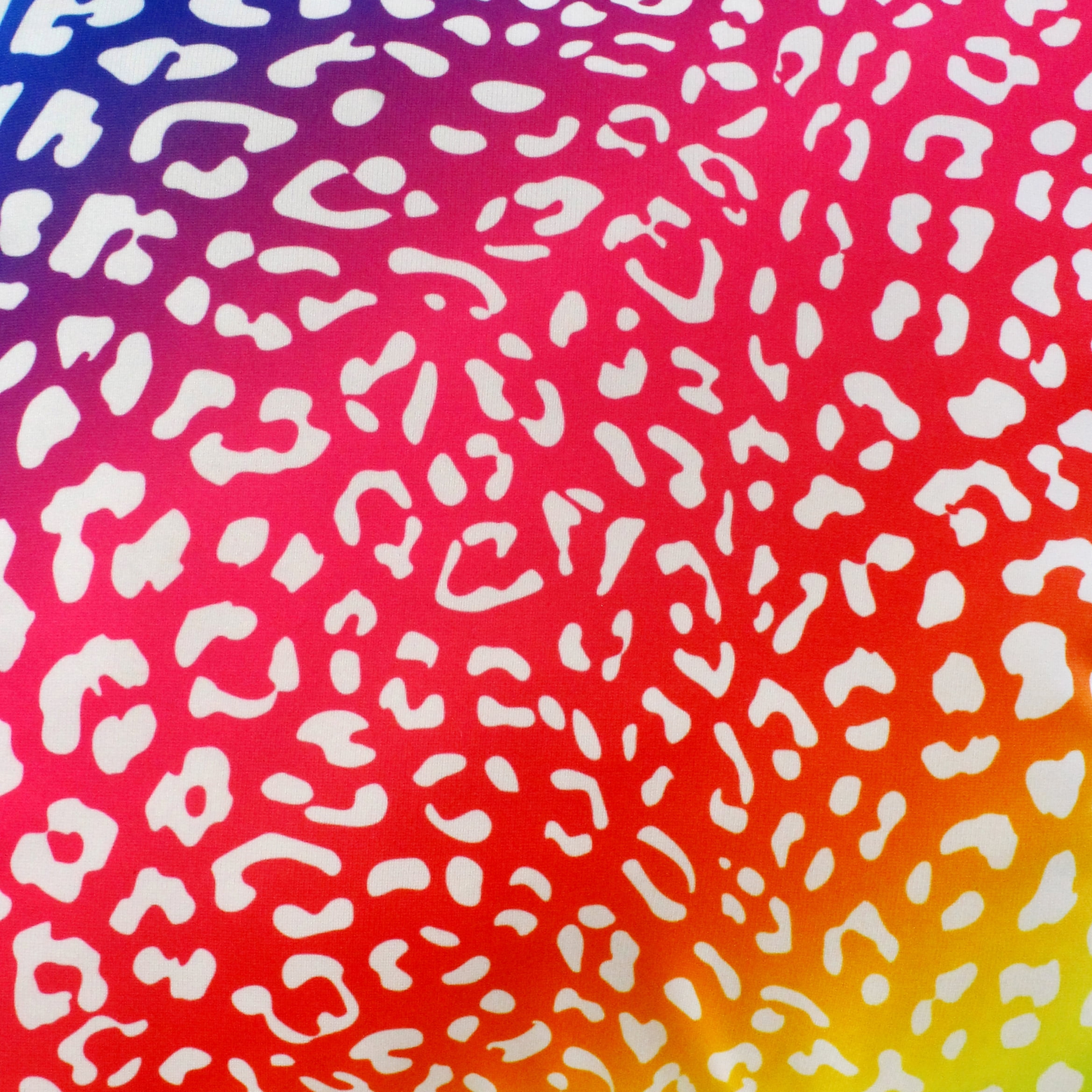 Everything Comfy Leopard Print Decorative Throw Pillow, 16x16 Inch, Rainbow Gradient/White,