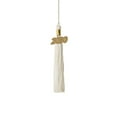 thumbnail image 6 of Class Act Graduation Kindergarten Graduation Tassel - 2020 - Gold Charm - 1 Color, Columbia Blue, 6 of 8