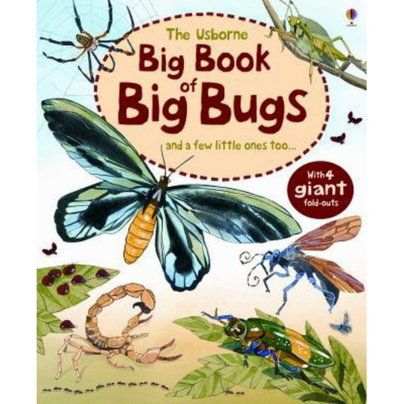 Pre-Owned Usborne Big Book Of...: The Usborne Big Book of Big Bugs (Hardcover)