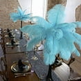 thumbnail image 3 of ZUCKER® 24pcs 13-16" Ostrich Feather Centerpiece Set - 24" Eiffel Tower Vase Wedding Decorations Black and Light Turquoise (Blue), 3 of 3