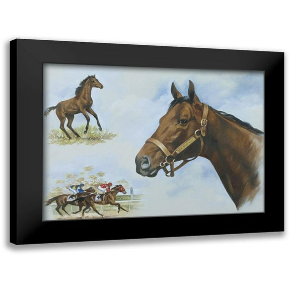 Unknown 14x11 Black Modern Framed Museum Art Print Titled - Thoroughbred I