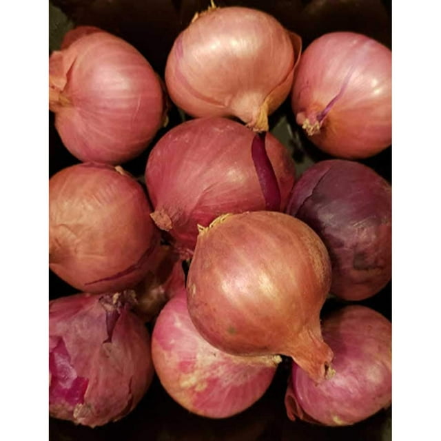 Shallots 2 Lbs. Produce of USA