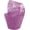 Purple, variant on 100Pcs Cupcake Wrappers Artistic Bake Cake Paper Filigree Little Vine Lace Laser Cut Liner Baking Cup Wraps Muffin CaseTrays for Wedding Party Birthday Decoration (Black)