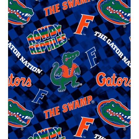 Official Licensed NCAA University of Florida Check Allover Fabric by the Yard