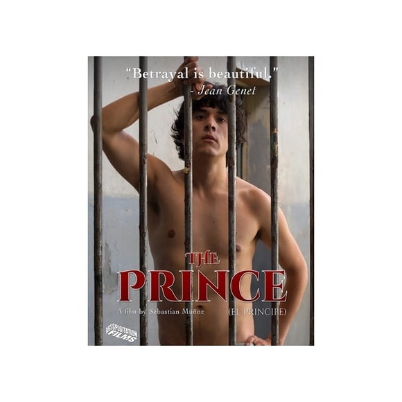 KINO INTERNATIONAL PRINCE (BLU-RAY/2019/WS 1.78/espagnol/anglais-SUB) BRART69B