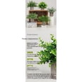 thumbnail image 4 of Juego de 1 plantas artificiales en macetas para decoración del hogar en interiores, mini plantas en macetas de imitación para dormitorio, baño, sala de estar, escritorio, decoración, 4 of 5