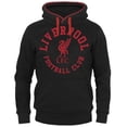 thumbnail image 3 of Liverpool FC Mens Graphic Fleece Hoodie, 3 of 5