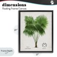 thumbnail image 4 of Stupell Industries Tropical Fan Palm Vintage Study Black Floating Frame Canvas Art, 17 x 21, by Val Rhodes, 4 of 8