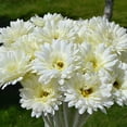 thumbnail image 4 of Visland 19.69" Artificial Plastic Silk Gerbera Daisies Wedding Bouquet, 4 of 4