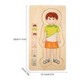 thumbnail image 1 of Multilayer Brick Toy, Human Body Structure Brick Toy, Wooden Intelligent Brick Toy Durable For Home Girls School Boys, 1 of 8