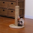 Catry Cat Scratcher Clearance Cat Scratching Post Made with Seagrass with Teaser Toy Size 10"*10
