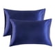 thumbnail image 1 of Funda de almohada de satén FloreceBien para cabello y piel, paquete de 2 - Fundas de almohada de tamaño estándar - Fundas de almohada de satén con cierre de sobre - 20" x 26", 1 of 5