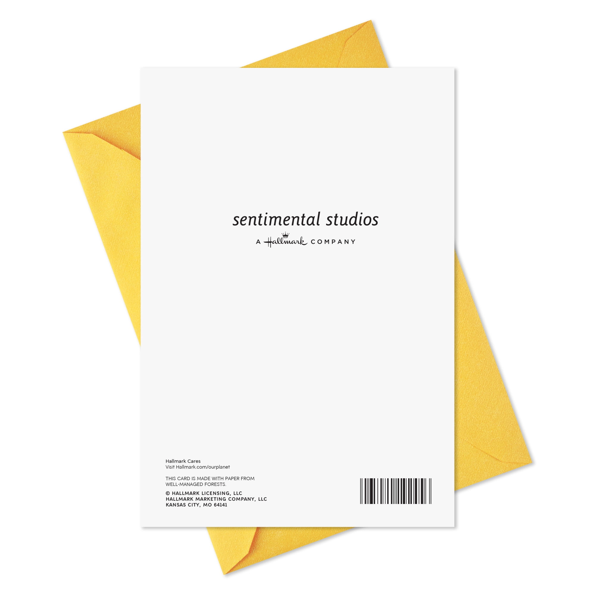 Hallmark Birthday Card (The Perfect Excuse to Be Fancy)
