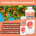 thumbnail image 2 of Citrus Fertilizer – Liquid Citrus Tree Fertilizer & Plant Food for All Potted & Outdoor Tree Varieites, 8 oz, 2 of 6