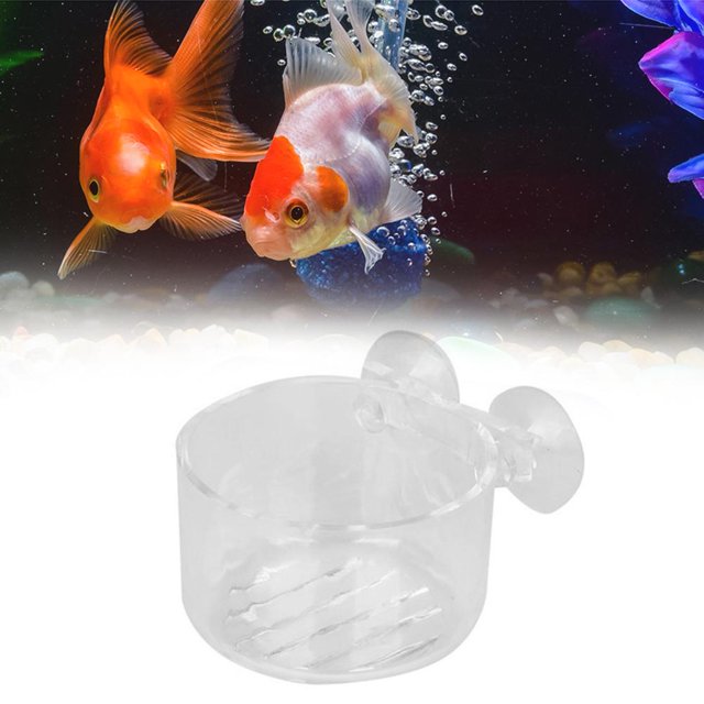 Acuario rojo de acrílico taza flotante taza de acuario taza de ventosa del recipiente del recipiente Hugtrwg Para estrenar