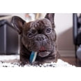 thumbnail image 5 of FFIY Jouet à Mâcher pour Chien Tuff Bone Bacon Parfumé - Grand, 5 of 5