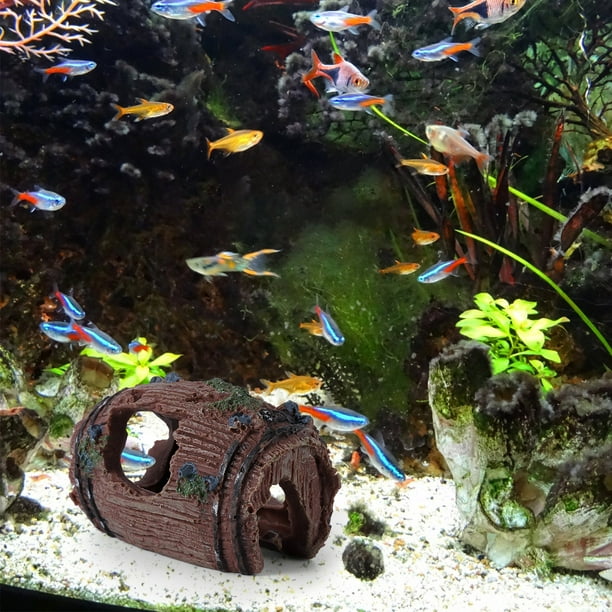 Bowl aquarium clearance decoration