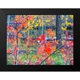 thumbnail image 2 of Tenoever, William 24x19 Black Modern Framed Museum Art Print Titled - Fall Somewhere, 2 of 5
