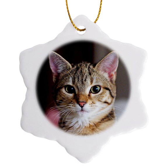 3drose, Tabby Cat Kitten, 3 inch Snowflake Porcelain Ornament