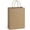 Brown, variant on 25Pcs Gift Bags 8x4.25x10.5 Kraft Paper for Gifts, Shopping Retail Merchandise Grocery Sacks, Paper Bags with Handles Bulk Medium