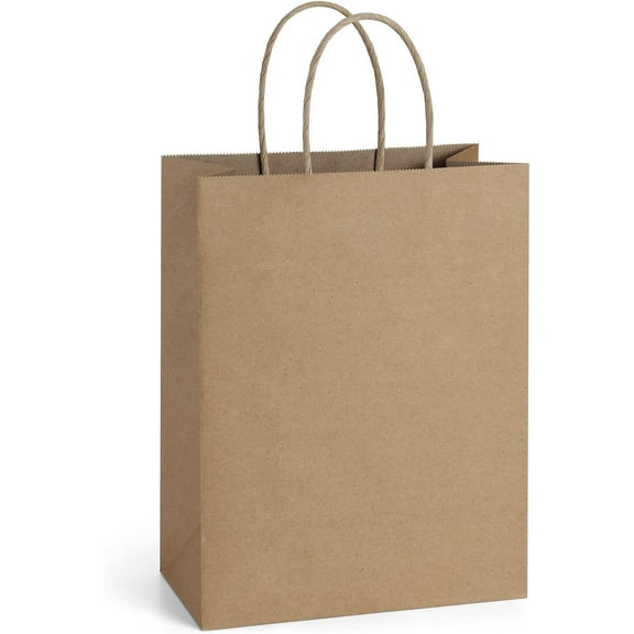 25Pcs Gift Bags 8x4.25x10.5 Kraft Paper for Gifts, Shopping Retail Merchandise Grocery Sacks, Paper Bags with Handles Bulk Medium