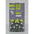 thumbnail image 1 of 50 Lt 5 Mm Led Led Indoor / Outdoor Light Set (Bulbes Transparents) - Ensemble De 2, 1 of 1