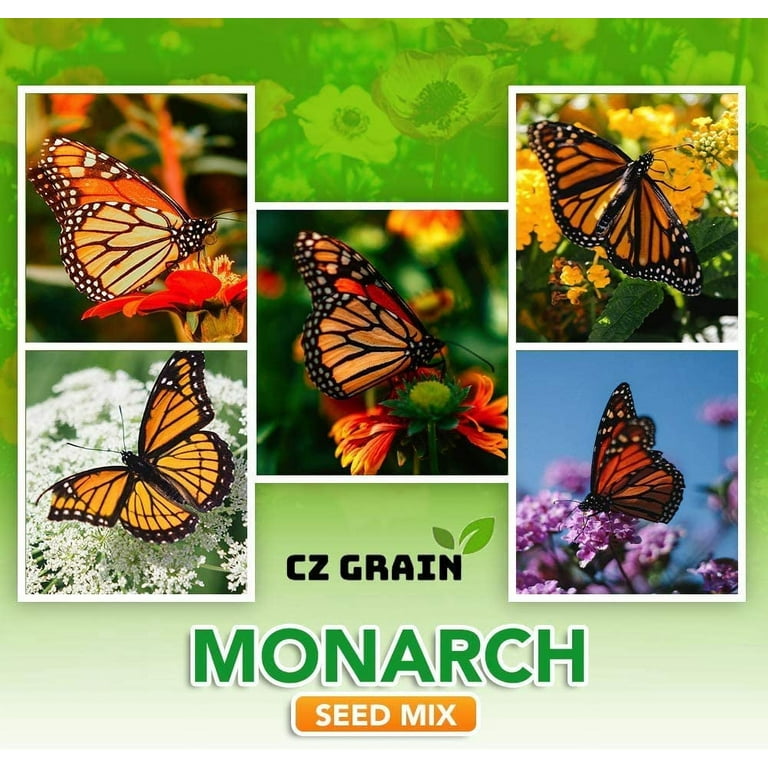  Monarch Butterfly Garden Kit -28 Species of Perennial Milkweed  and Wildflower Seeds - If You Grow it Monarchs Will Come - Kids STEM  Project - Create a Beautiful Garden Full