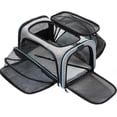 thumbnail image 1 of Foldable Pet Backpack, 1 of 1
