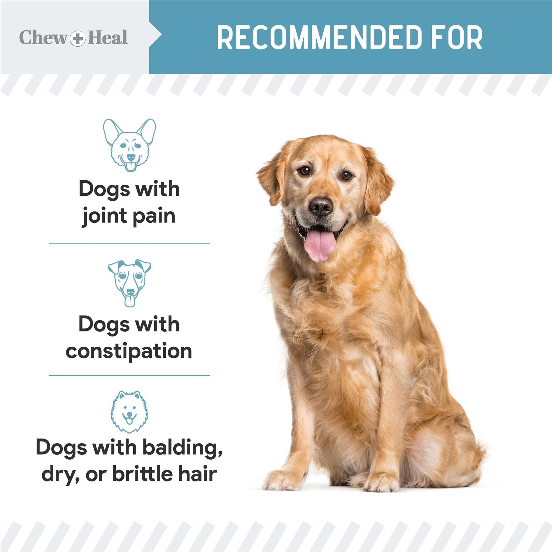 Chew + Heal 12-in-1 Multivitamin Powder for Dogs, 14 oz - with Glucosamine, Omega 3,6,9, Vitamins, and Probiotics