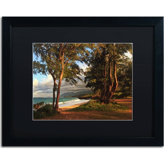 Trademark Fine Art "Hawaii 5" Canvas Art by Jason Shaffer, Black Matte, Black Frame