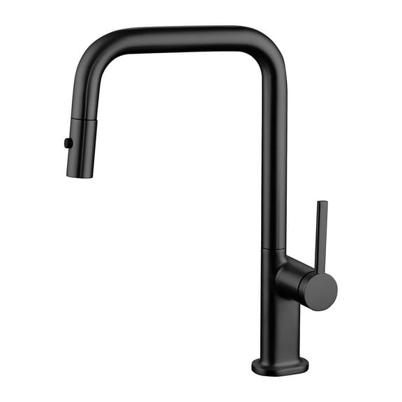 DAX Single Handle Pull Out Kitchen Faucet, Matte Black