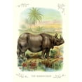 thumbnail image 3 of Unknown 14x18 Black Modern Framed Museum Art Print Titled - The Rhinoceros, 1900, 3 of 5