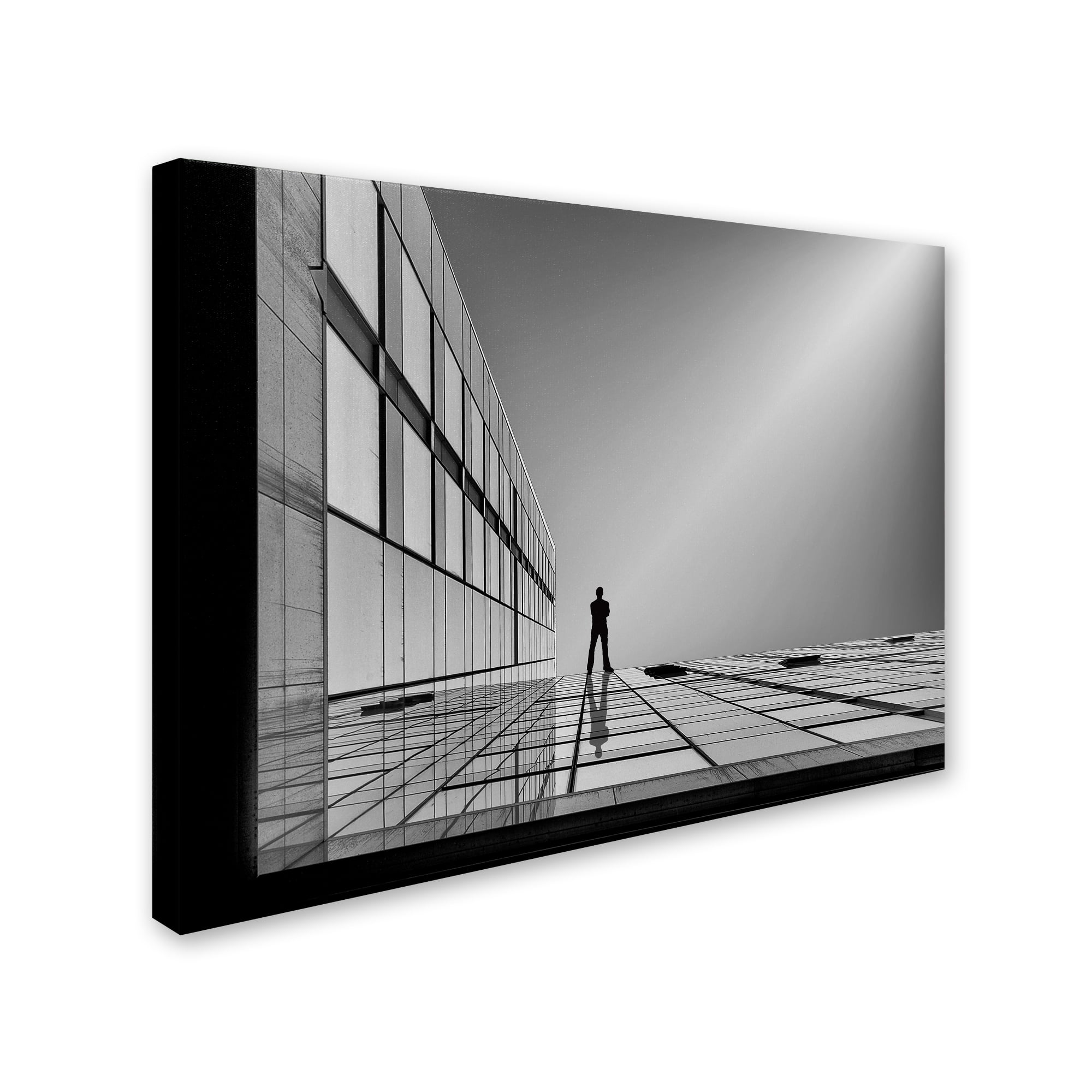 Trademark Fine Art 'The Evolution Of Space' Canvas Art by Yvette Depaepe