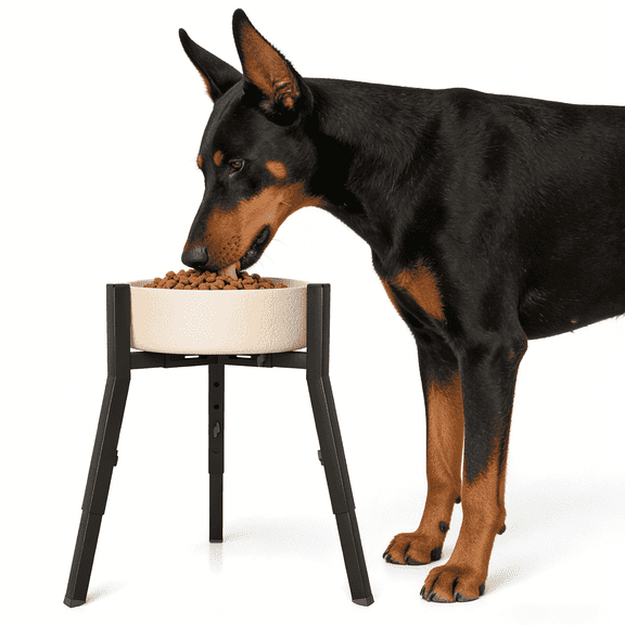 Adjustable Height & Width Elevated Dog Bowl Stand for Large Dogs, Single Raised Feeder Station (Bowl Not Included)