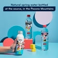 thumbnail image 4 of Disney Water Mickey et Minnie Mouse Bouteille, Eau Embouteillée, 12 x 355 ml, 4 of 8