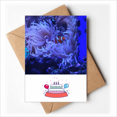 thumbnail image 1 of ocean anem fish science nature picture Happy Birthday Greeting Cards Envelopes Blank, 1 of 3