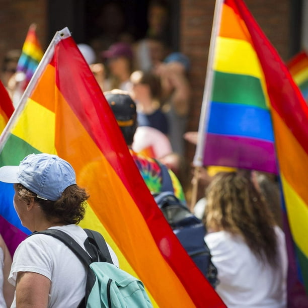 Striped Lesbian Sports Bra, Lesbian Pride Flag Aesthetic