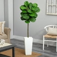 thumbnail image 2 of Nearly Natural 9215 5.5 in. Fiddle Leaf Artificial Tree in White Tower Planter, 2 of 4