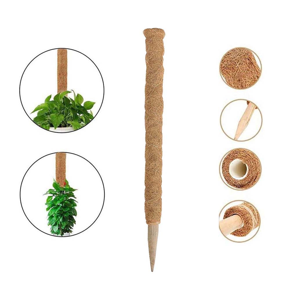 Plant Support Pole Coconut Sticks Coco Coir Poles Support Plants To