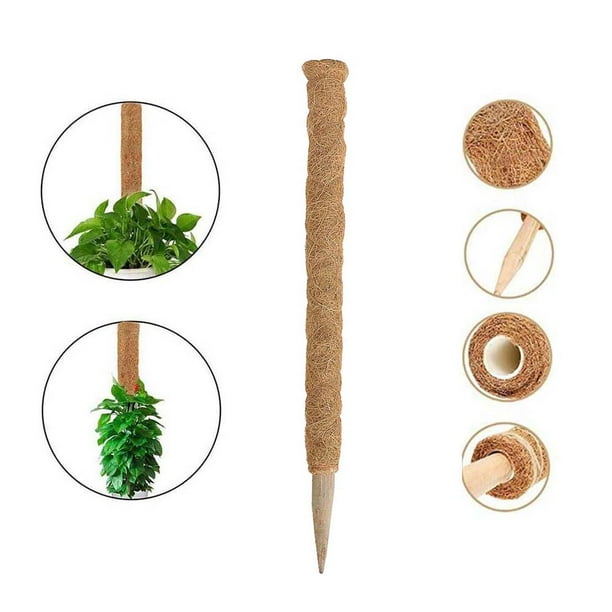 Plant Support Pole Coconut Sticks Coco Coir Poles Support Plants To